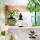 Organic Face & Eye Serum / Organic Facial Oil / Anti-Aging Serum /